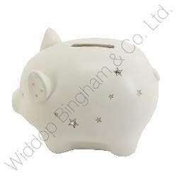 Pig Moneybox Kadoo Flowers Gifts The Marlowes Hemel Hempstead - pig moneybox